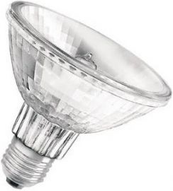 Osram Par-30 Lamp